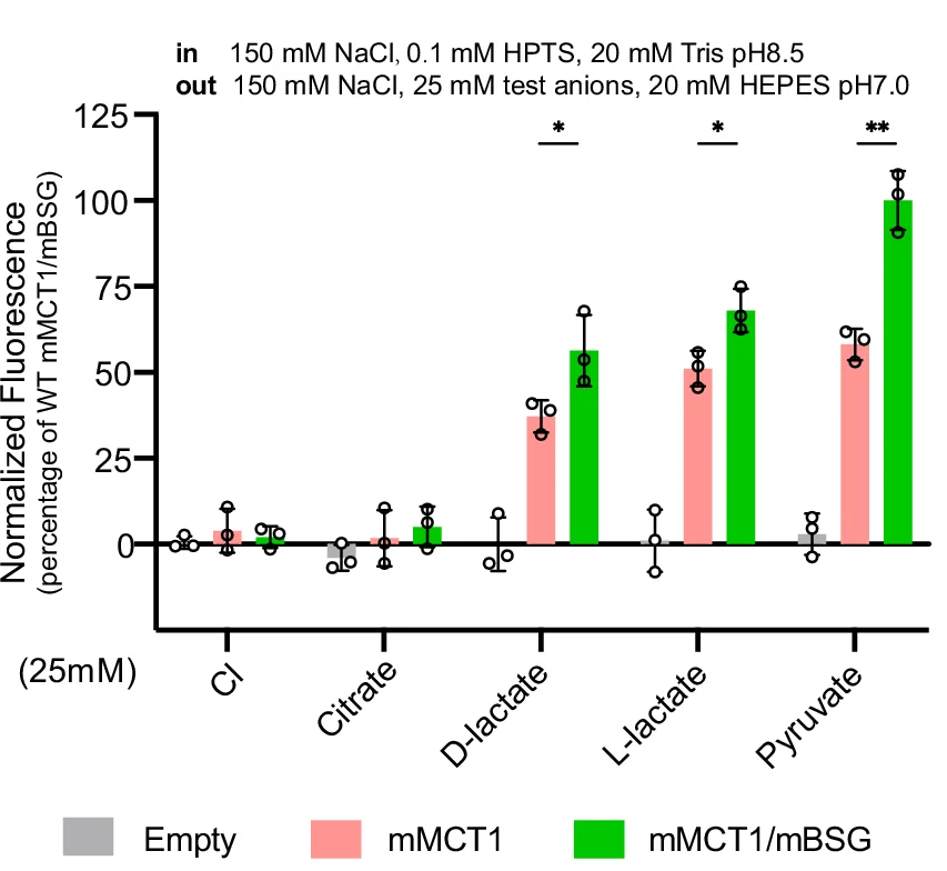 Open access visualization of Bar Plot, Error Bars, Clustered, Scatter Plot, mMCT1