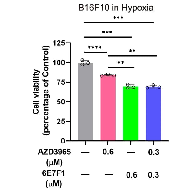 Open access visualization of Bar Plot, Error Bars, Western Blot, BSG Protein, MCT1 Protein