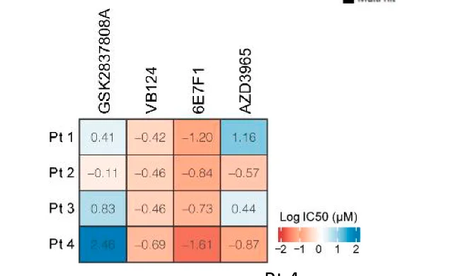 Open access visualization of Heatmap, NSCLC-PDOs, Drugs, GSK2837808A, VB124