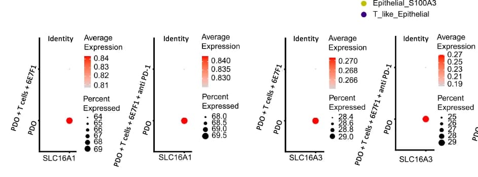Open access visualization of Bubble Plot, Scatter Plot, Dot Plots, Transcriptional Variation, SLC16A1