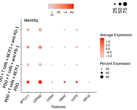 Open access visualization of Bubble Plot, Dot Plots, Expressional Variation, Sphingolipid Pathway, Epithelial Groups