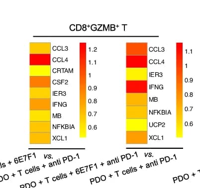 Open access visualization of Heatmap, Dot Plots, Expressional Variation, MCCC2 Gene, Epithelial Groups