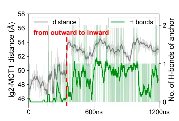 Open access visualization of Line Plot, Error Bars, Line Step, Molecular Dynamics Simulation, Protein Dynamics