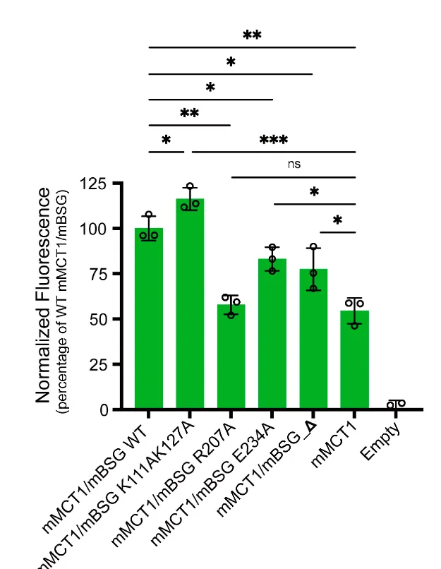 Open access visualization of Bar Plot, Error Bars, Transport Activity, Ig2 Domain, Hydrogen Bonds