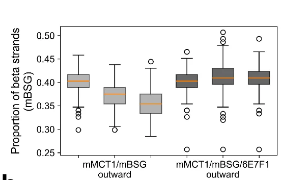 Open access visualization of Box Plot, mBSG, Beta-strands, Boxplots