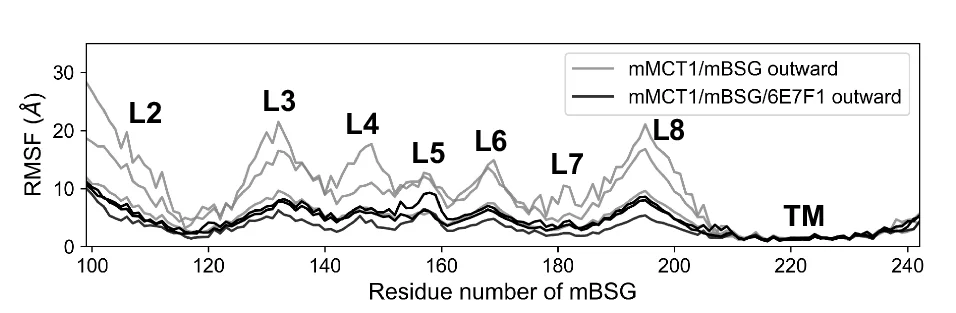 Open access visualization of Line Plot, RMSF, Cα Atoms, mBSG, Trajectories