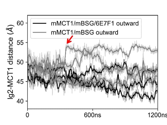 Open access visualization of Line Plot, Center-to-center Distance, Ig2 Domain, mMCT1, Trajectories