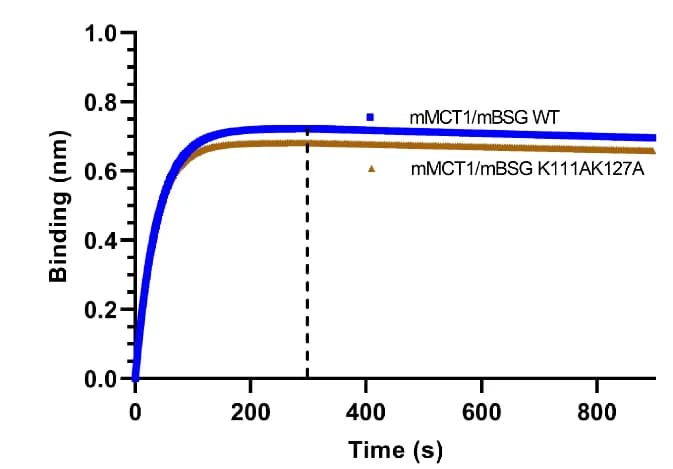 Open access visualization of Line Plot, Binding Affinities, 6E7F1, WT mMCT1/mBSG, mMCT1/mBSG (K111A/K127A)