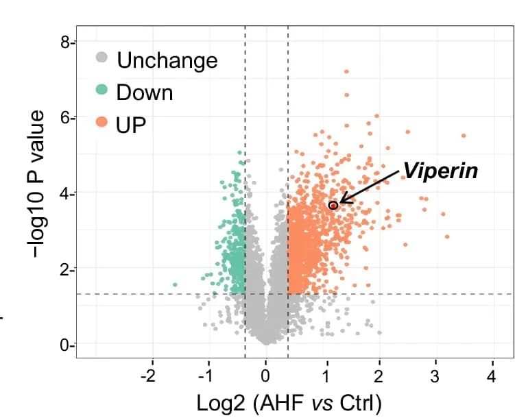 Open access visualization of Volcano Plot, CVB3 Infection, AHF Group, Control Group, Proteomic Analysis
