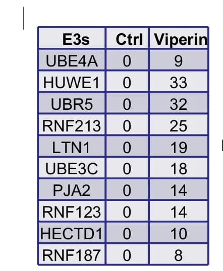 Open access visualization of Table Image, Mass Spectrometry, Viperin-binding Proteins, HEK293T Cells, Flag-Viperin