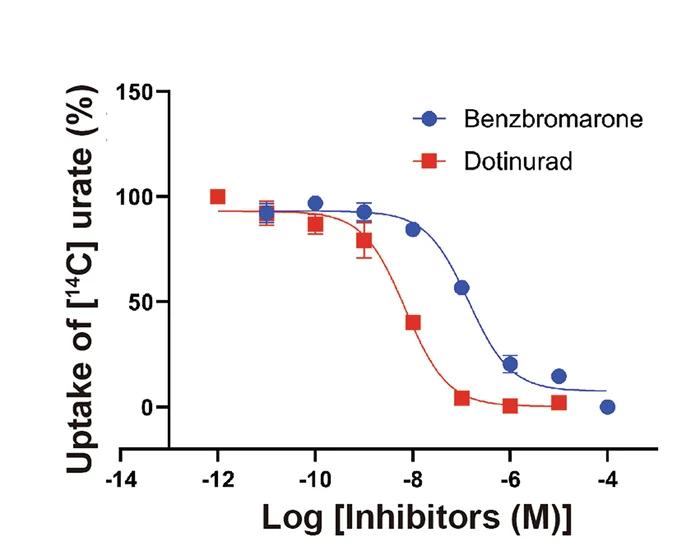 Open access visualization of Line Plot, Error Bars, Urate Uptake, Benzbromarone, Dotinurad