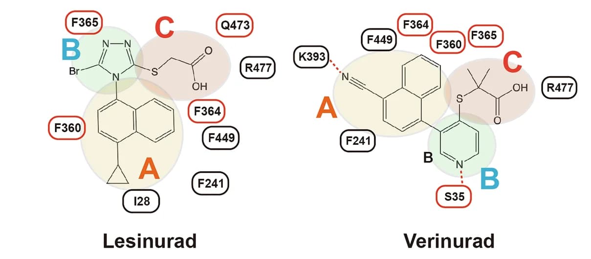 Open access visualization of Chemical Structure, Lesinurad, Verinurad, URAT1, Interaction Networks