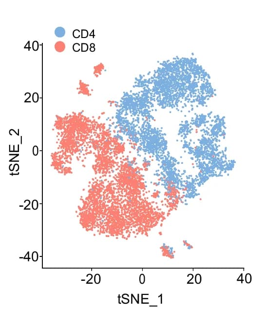 Open access visualization of Scatter Plot, UMAP, PCA, t-SNE, scRNA-seq