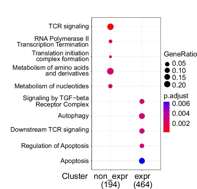Open access visualization of Bubble Plot, REACTOME, Enrichment Analysis, Nat10, CD4+ T Cells