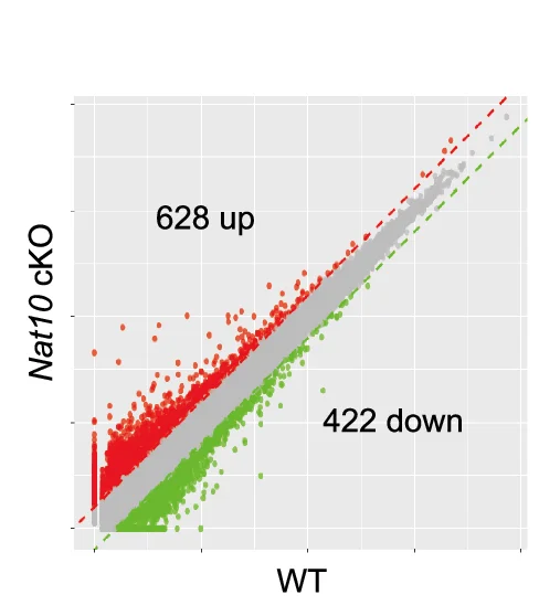 Open access visualization of Scatter Plot, Scatter Diagram, Differentially Expressed Genes, Naive CD4+ T Cells, Upregulated Genes