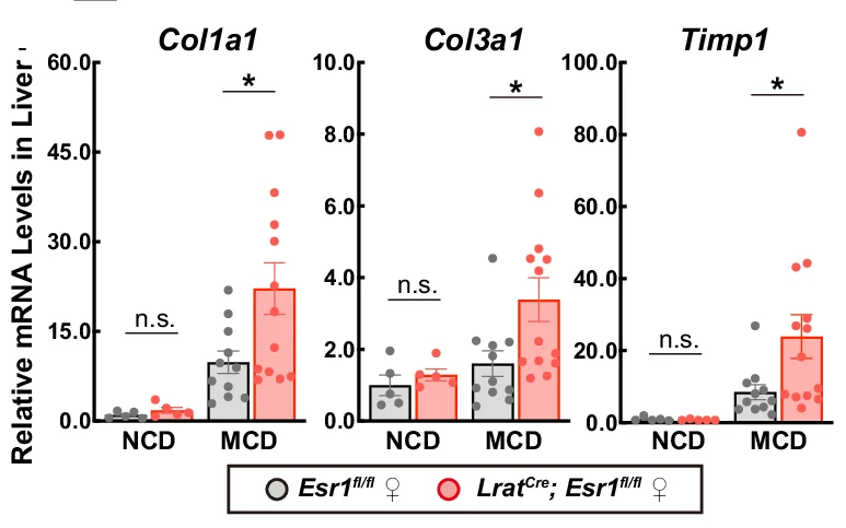 Open access visualization of Bar Plot, Error Bars, Scatter Plot, Lrat Cre Mice, Esr1 fl/fl Mice