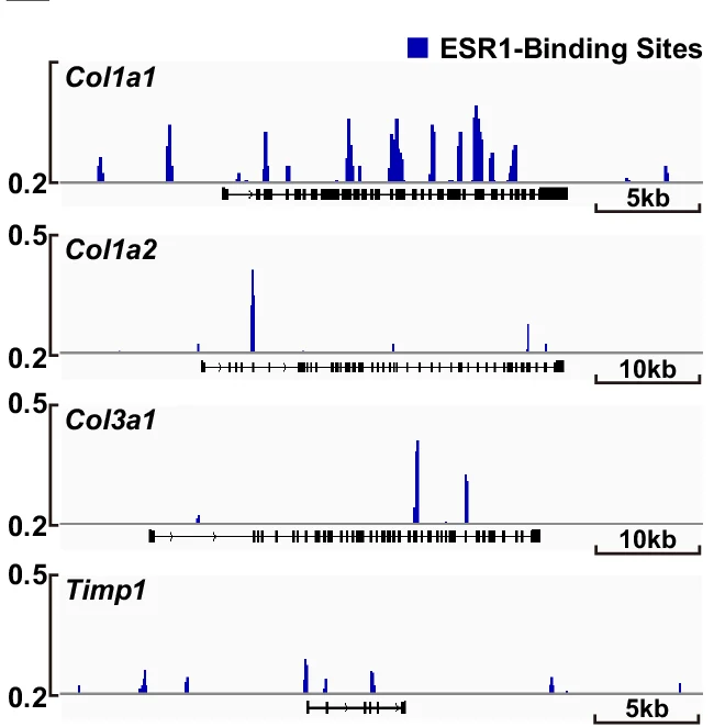 Open access visualization of Line Plot, Lrat Cre Mice, Liver Fibrosis, HSCs, FACS Sorting