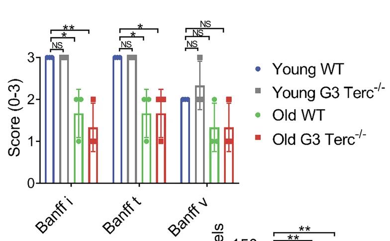 Open access visualization of Bar Plot, Error Bars, Scatter Plot, Quantitative Analysis, Banff 2019