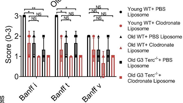 Open access visualization of Bar Plot, Error Bars, i Score, t Score, v Score