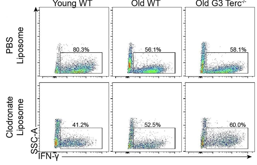 Open access visualization of Scatter Plot, Flow Cytometry, Lymphocytes, Living Cells, Single Cells