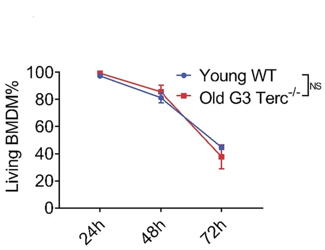 Open access visualization of Line Plot, Error Bars, BMDM, LPS Stimulation, Cell Viability