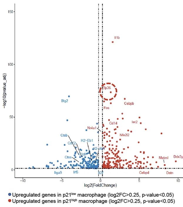 Open access visualization of Volcano Plot, Scatter Plot, Macrophages, Gene Expression, P value
