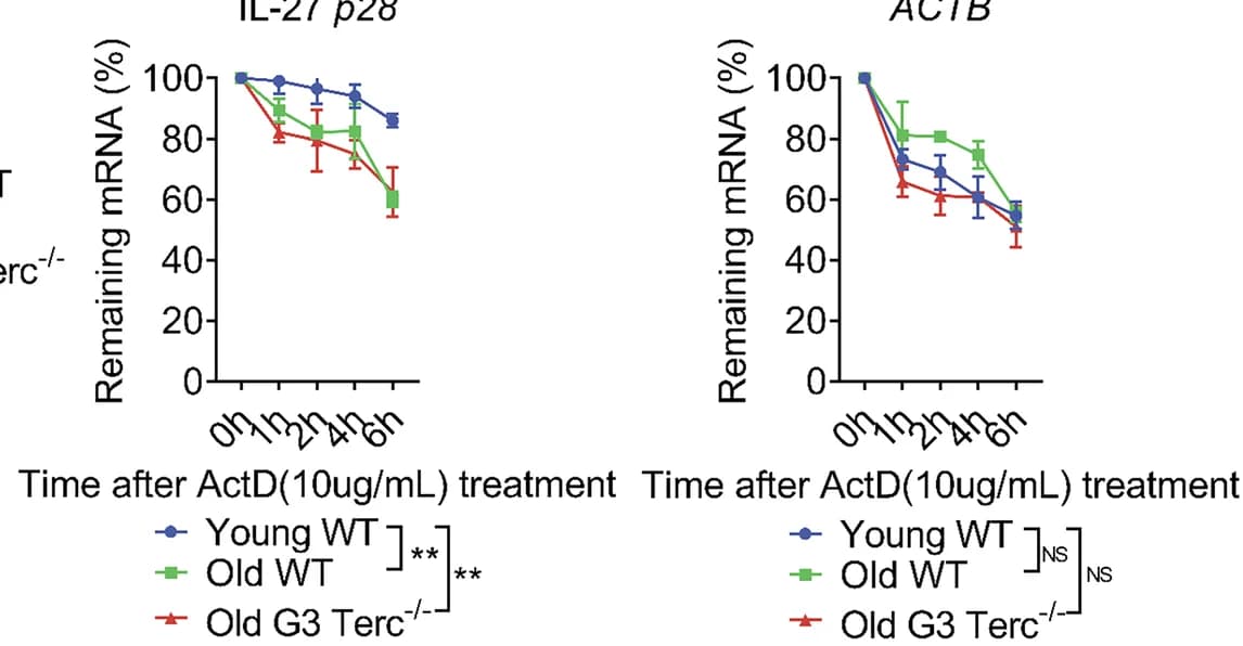 Open access visualization of Line Plot, Error Bars, IL-27 p28, ACTB mRNA, mRNA Degradation