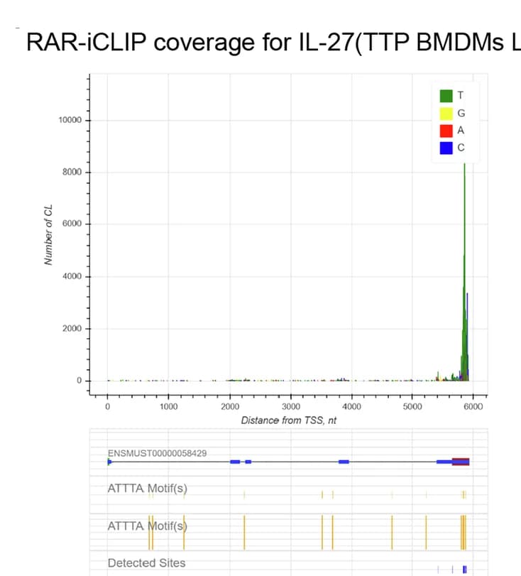 Open access visualization of Line Plot, PAR-iCLIP, Coverage, IL-27