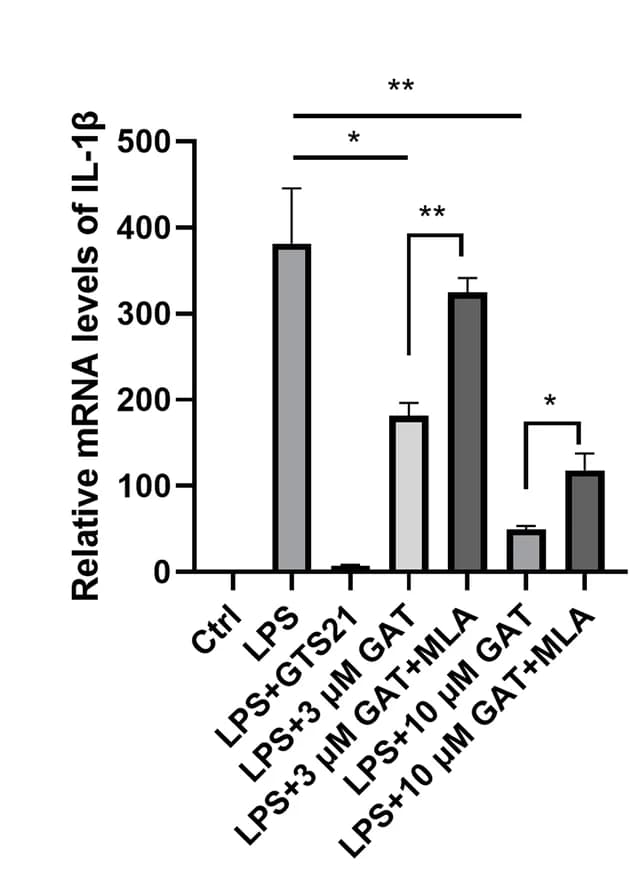 Open access visualization of Bar Plot, Error Bars, GAT, Inflammatory Molecule, IL-1