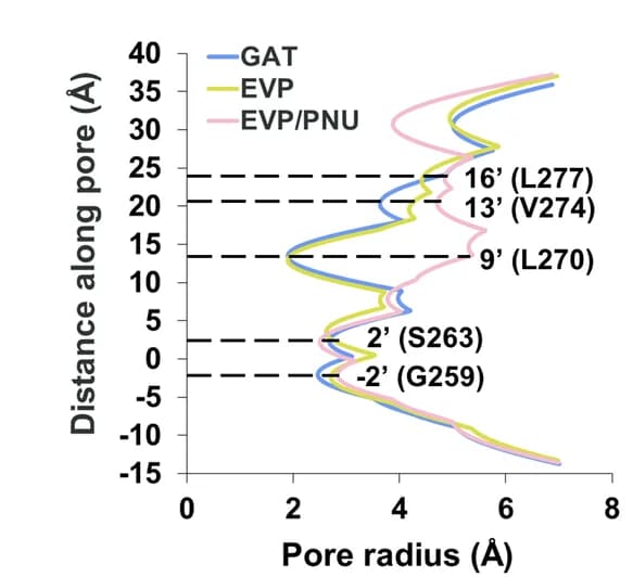 Open access visualization of Line Plot, Pore Radius, 7 Receptors, Pore Axis, HOLE Program