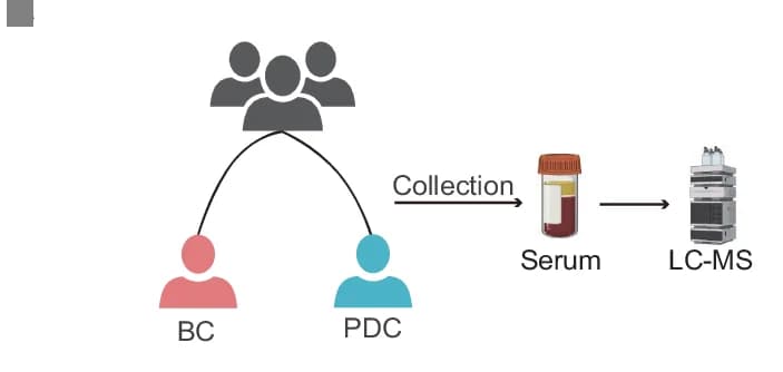 Open access visualization of Workflow, Flowchart, Illustration, Serum, Metabolomics