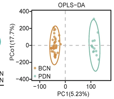 Open access visualization of Scatter Plot, PCA, OPLSDA Plot, Serum Metabolites, BCN Group