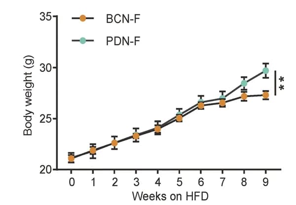 Open access visualization of Line Plot, Error Bars, Body Weight, Fecal Transplantation
