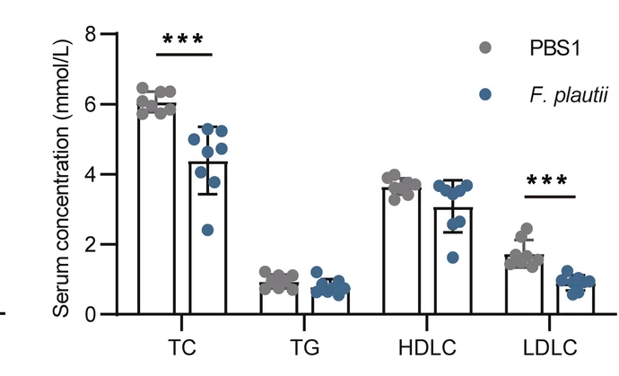 Open access visualization of Bar Plot, Error Bars, Scatter Plot, Serum Concentrations, TC