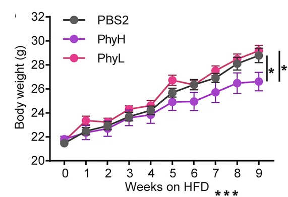 Open access visualization of Line Plot, Error Bars, Body Weight, Phytosphingosine, Supplementation