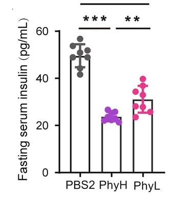 Open access visualization of Bar Plot, Error Bars, Fasting Serum Insulin, PBS2 Group, PhyH Group