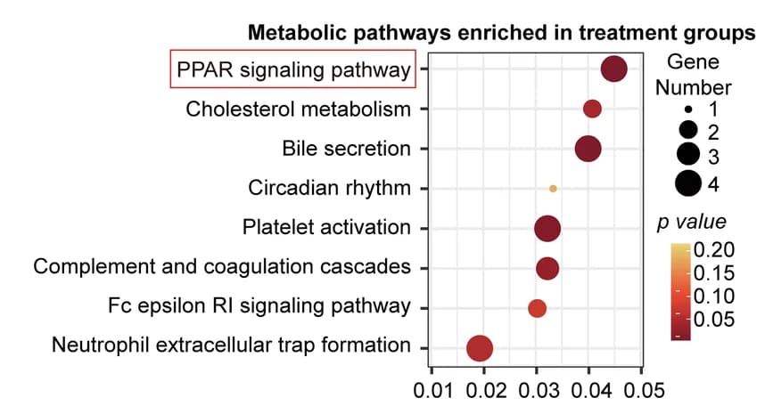 Open access visualization of Scatter Plot, Bubble Plot, Volcano Plot, KEGG Pathways, Differentially Expressed Genes