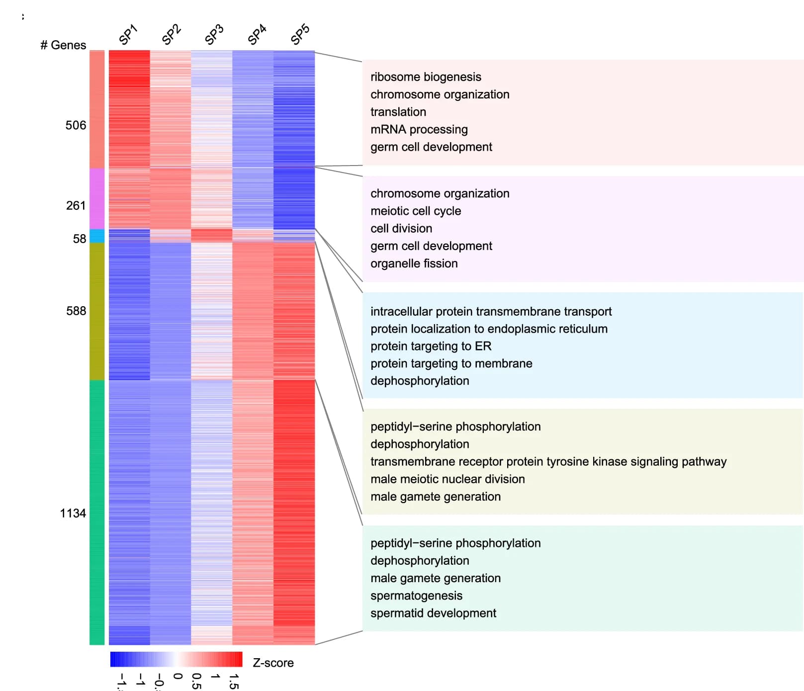 Open access visualization of Heatmap, Bar Plot, Gene Expression, Cell Subsets, Biological Processes