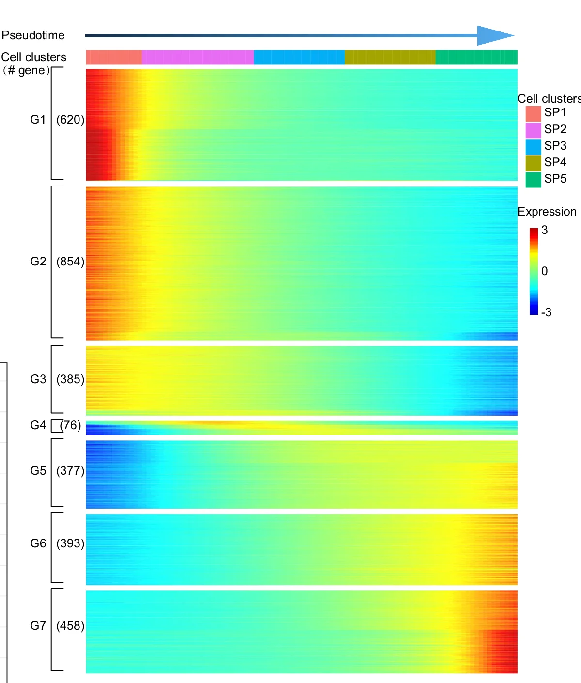 Open access visualization of Heatmap, Gene Expression, Sperm Cells, Pseudotime, Hierarchical Clustering