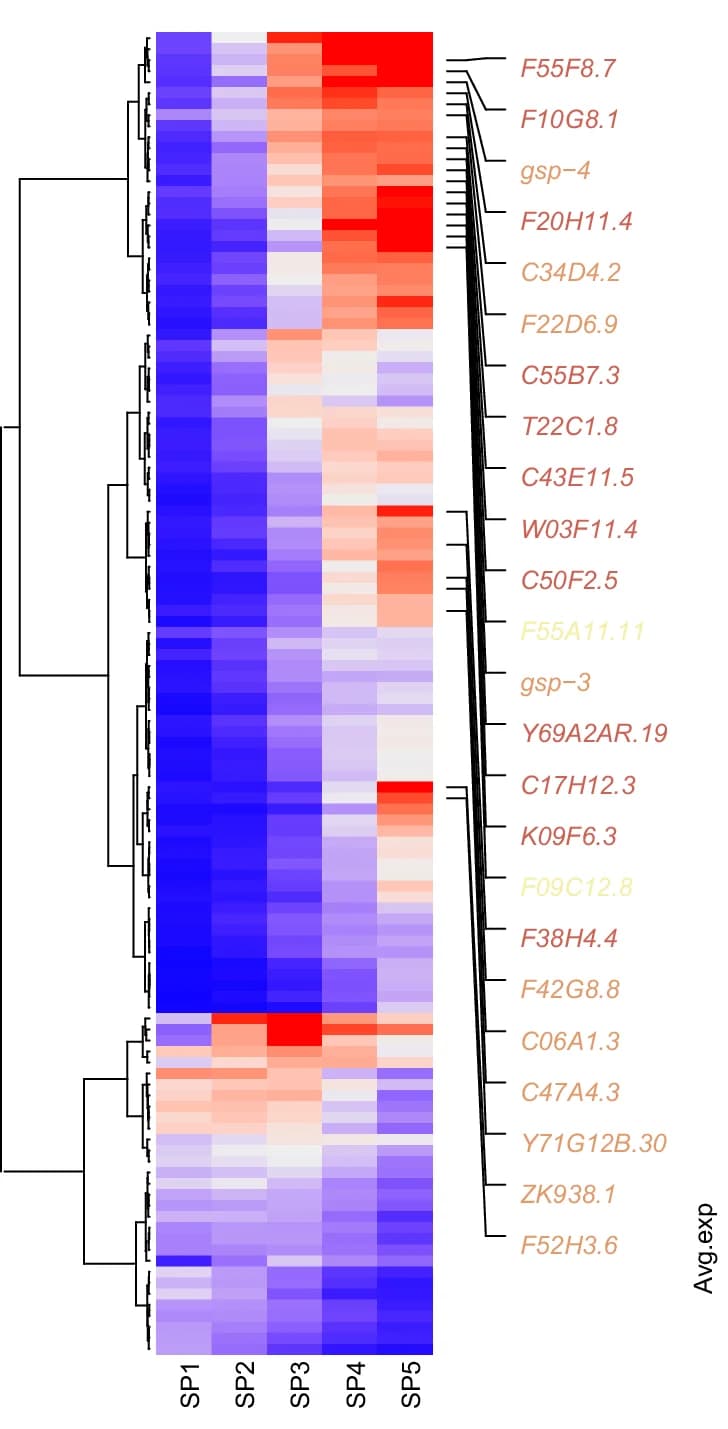 Open access visualization of Heatmap, Clustered, Phosphatase Expression, Spermatogenesis, Gene Expression