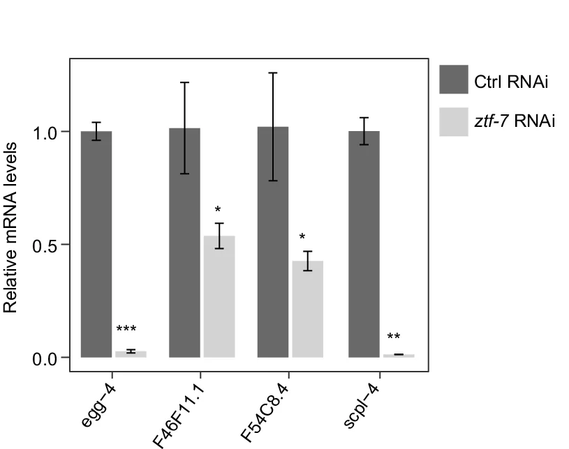 Open access visualization of Bar Plot, Error Bars, Clustered, qPCR Analysis, Phosphatases