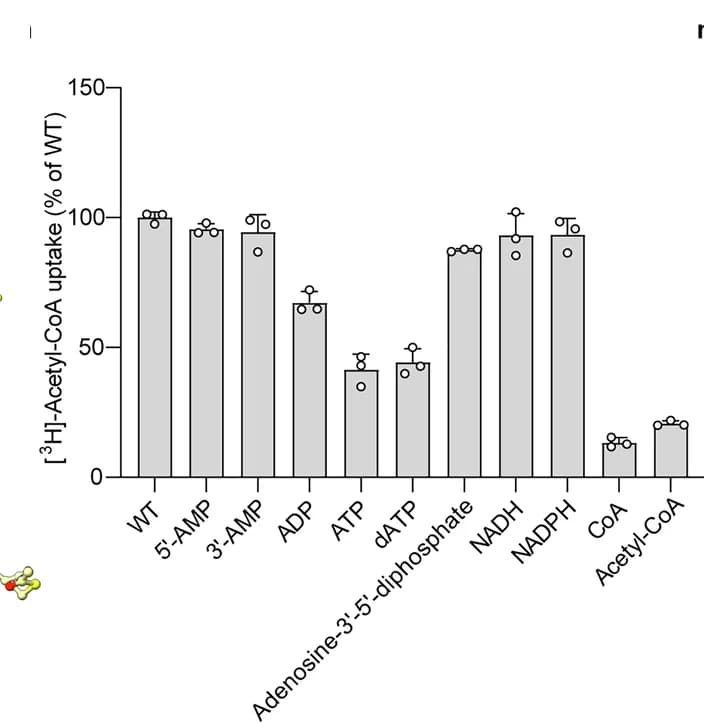 Open access visualization of Bar Plot, Error Bars, Inhibitory Effect, Compounds, Acetyl-CoA