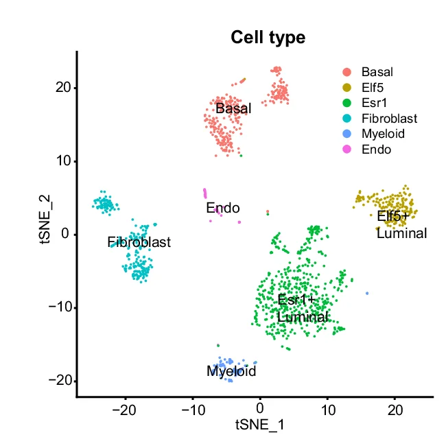 Open access visualization of Scatter Plot, UMAP, PCA, t-SNE Plots, Mammary Cells