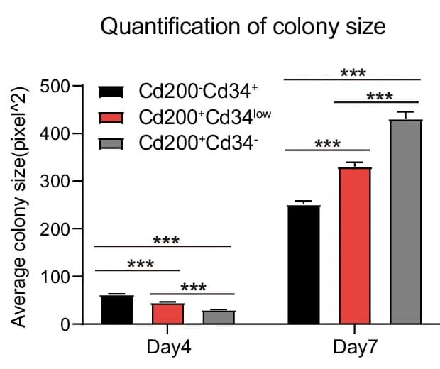 Open access visualization of Bar Plot, Error Bars, Clustered, Colony Size, Statistical Analysis