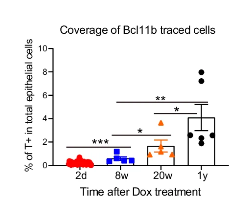 Open access visualization of Scatter Plot, Error Bars, tdTomato, Epithelial Cells, Lineage Tracing