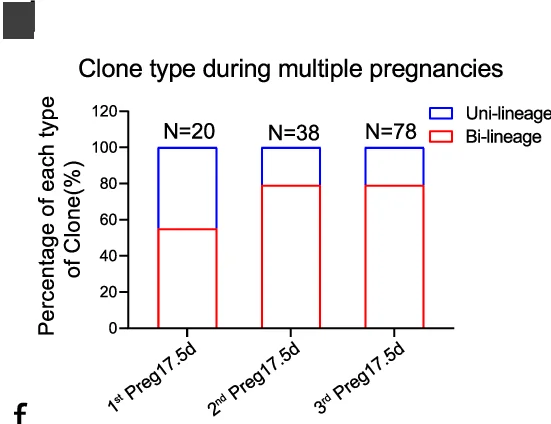 Open access visualization of Stacked Bar Plot, Bar Chart, Bi-lineage Clones, Uni-lineage Clones, Multiple Pregnancies