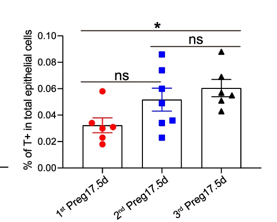 Open access visualization of Bar Plot, Error Bars, Scatter Plot, Bar Chart, tdTomato-labeled Cells