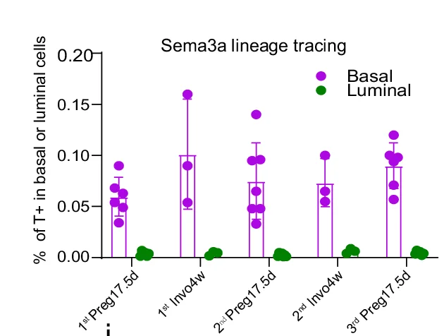 Open access visualization of Bar Plot, Scatter Plot, Error Bars, Bar Chart, tdTomato-labeled Cells