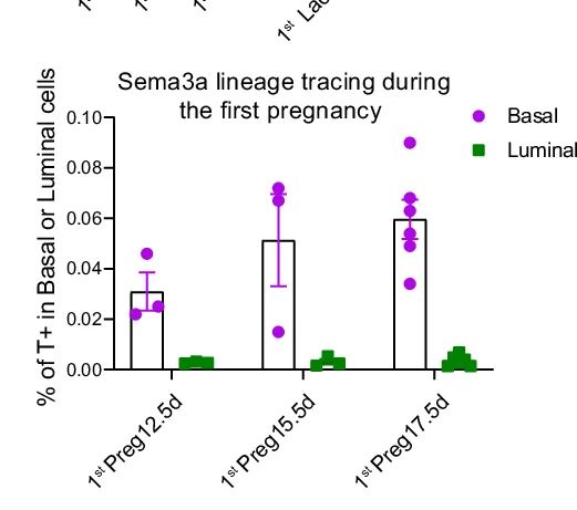 Open access visualization of Bar Plot, Error Bars, Scatter Plot, Bar Chart, tdTomato-labeled Cells