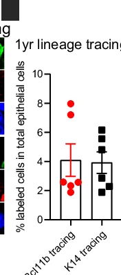 Open access visualization of Bar Plot, Error Bars, Scatter Plot, Bar Chart, Mammary Epithelial Cells